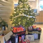 Freyssinet festive food collection for Telford Crisis Support