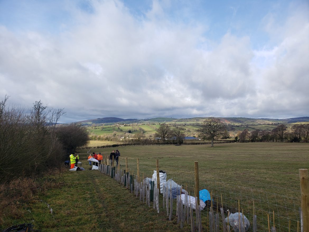 Volunteer Day For The National Trust’s Stepping Stones Project ...