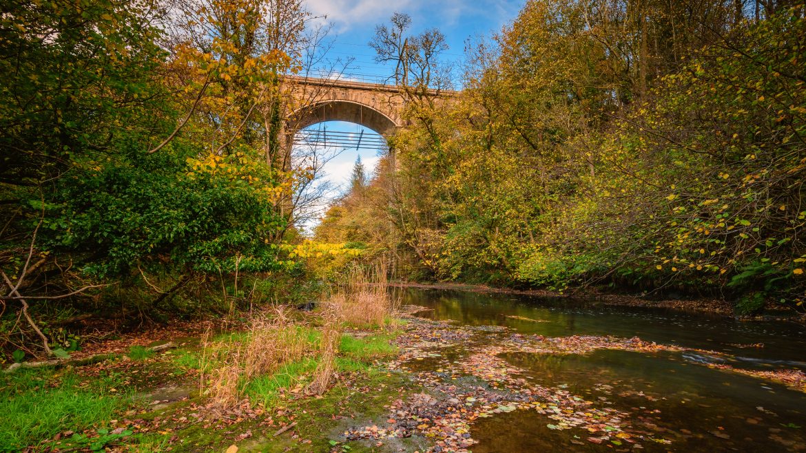 Railway Viaduct Over River Blyth, Five Arches Hidden By Trees In